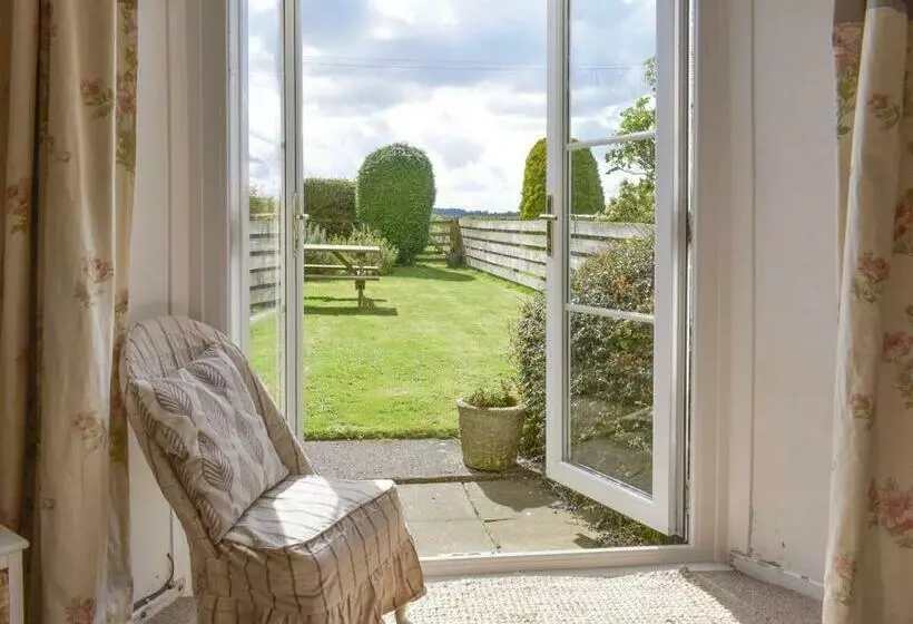 Cheviot View
