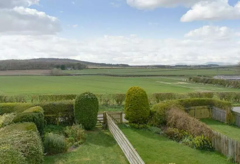 Cheviot View