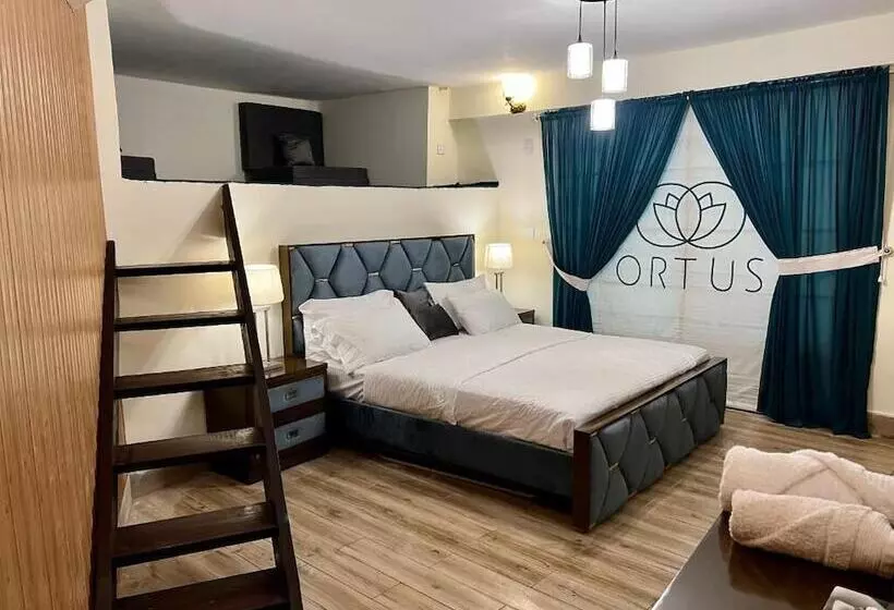 Ortus   Murree Hills