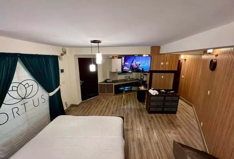 Ortus   Murree Hills