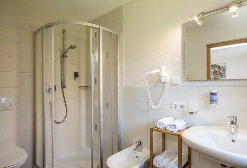 Apartment Alpenrose   Mesnerhof