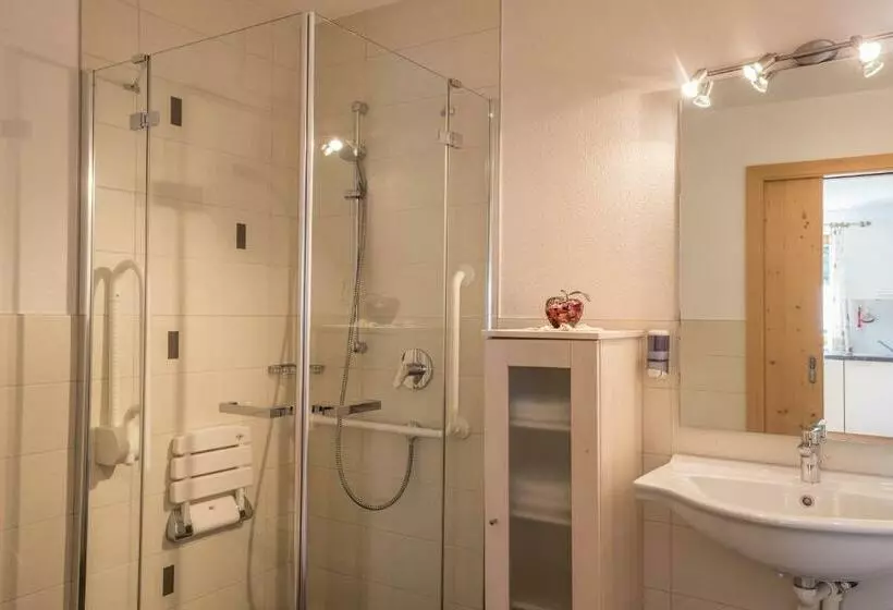 Apartment Alpenrose   Mesnerhof