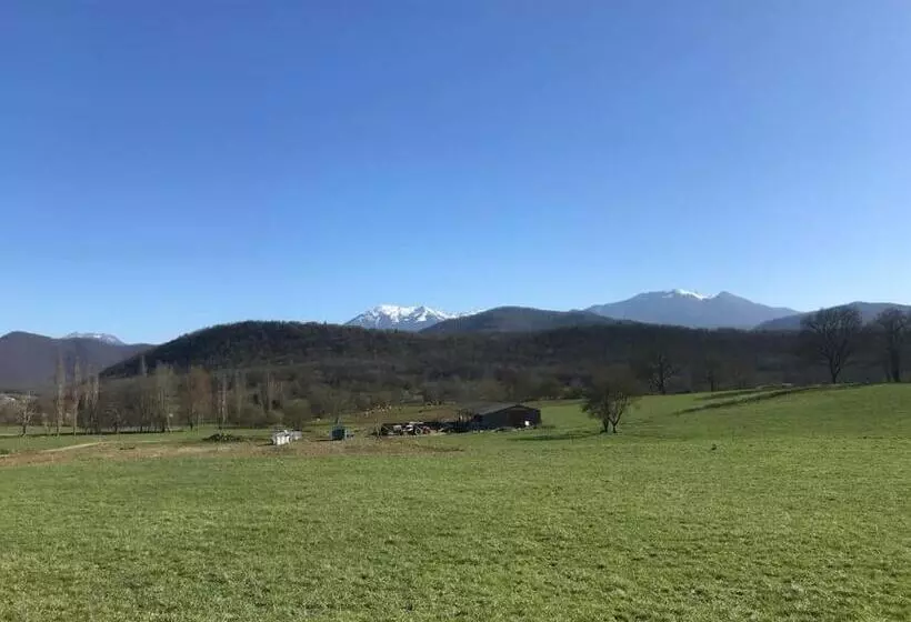 Au Coeur De Lôo