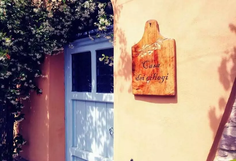 Casa Dei Ciliegi Appartamento Primo Piano Con Spazio Verde Esclusivo