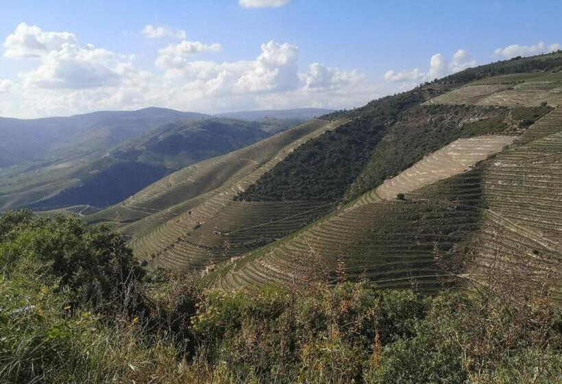 Douro Valley Casa Da Praça