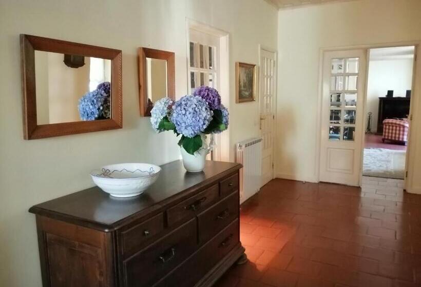 Douro Valley Casa Da Praça