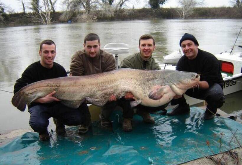 La Bastide Plein Sud De Marignan