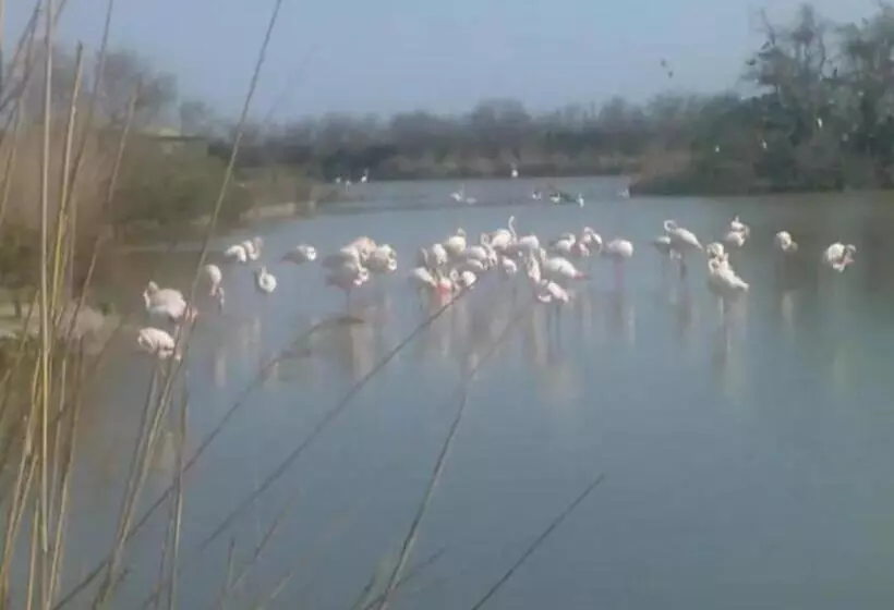 La Bastide Plein Sud De Marignan