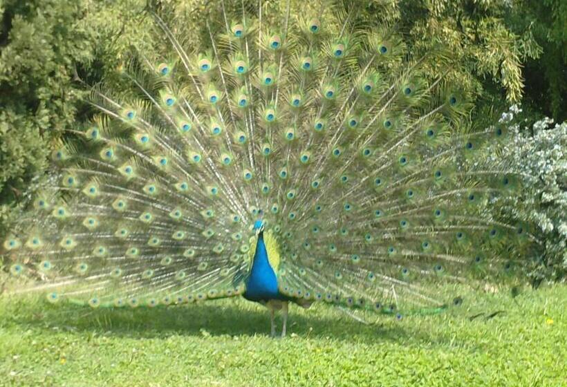La Bastide Plein Sud De Marignan