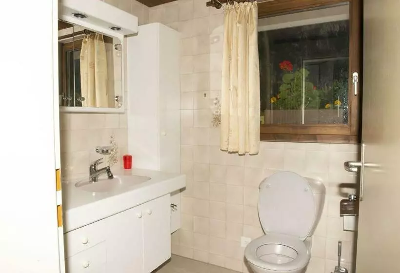 Lauterbrunnen Staubbach Beautiful Waterfall Apartment