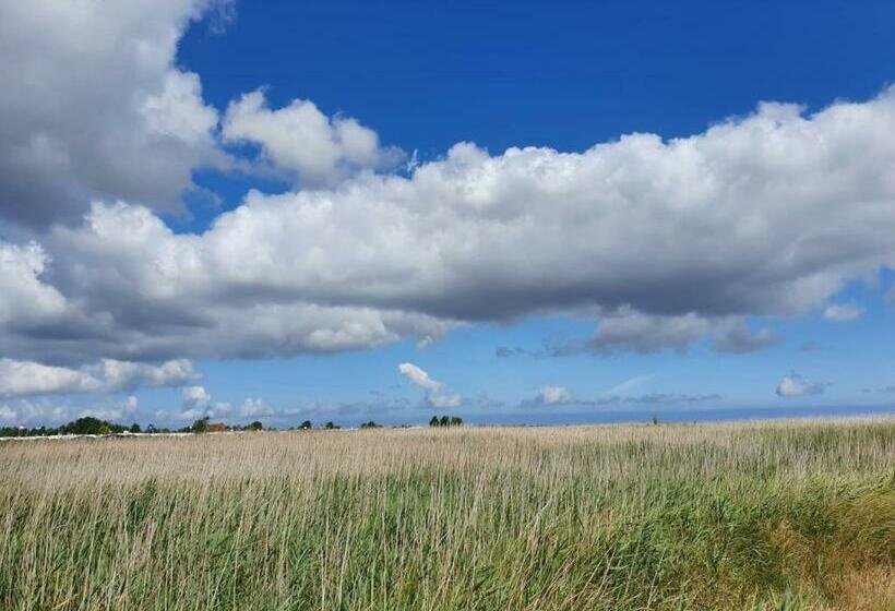 Ferienwohnung Mit Eigenem Garten In Schortens