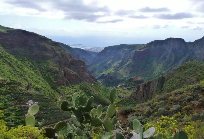 Casa Patio Canario Sxvii