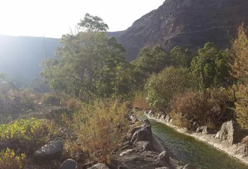 Casa Patio Canario Sxvii