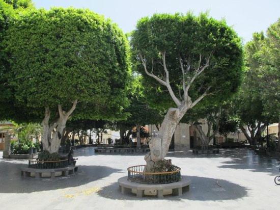 Casa Patio Canario Sxvii