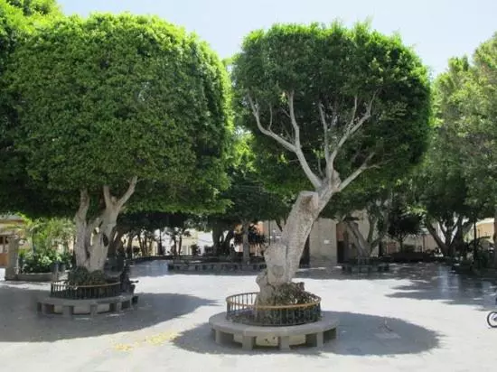 Casa Patio Canario Sxvii