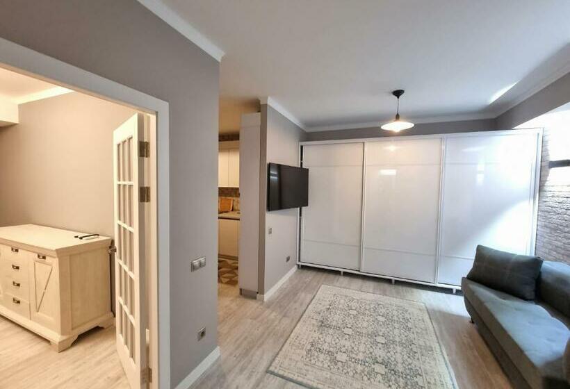 Ultra Central Ismail Street Stefan Cel Mare Boulevard Chisinau!