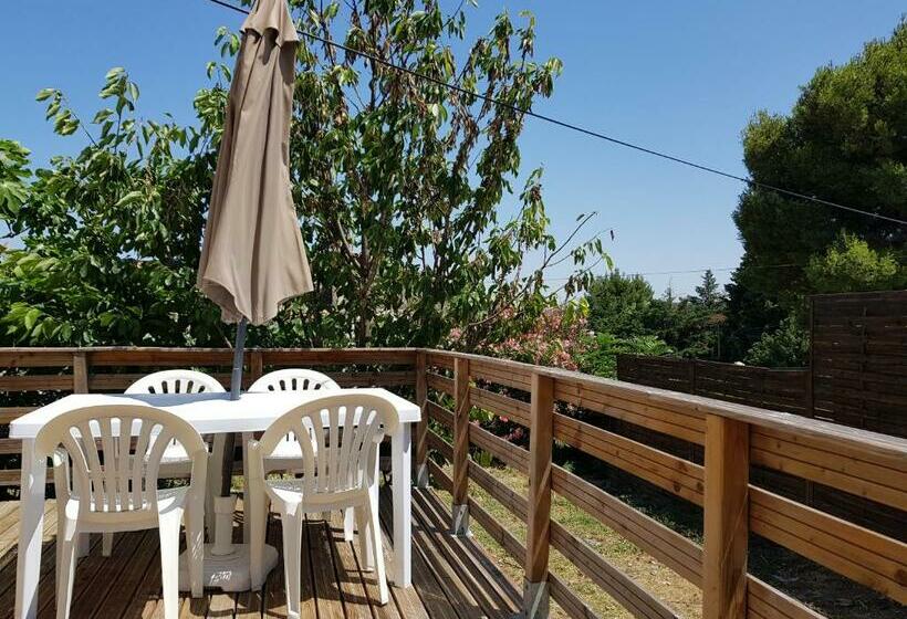 Chemin De La Carquette