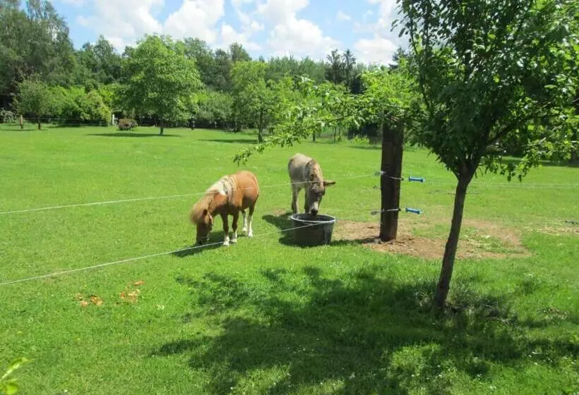 Florennes Gîte Neuf 150 M2 Devant Un Grand Lac Privé De 2 Hectares Poissonneux Au Milieu Des Bois