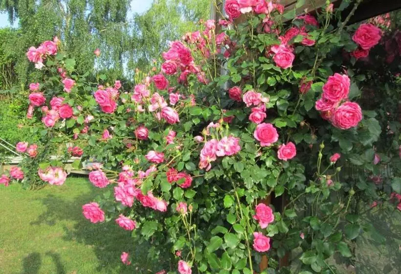 Florennes Gîte Neuf 150 M2 Devant Un Grand Lac Privé De 2 Hectares Poissonneux Au Milieu Des Bois