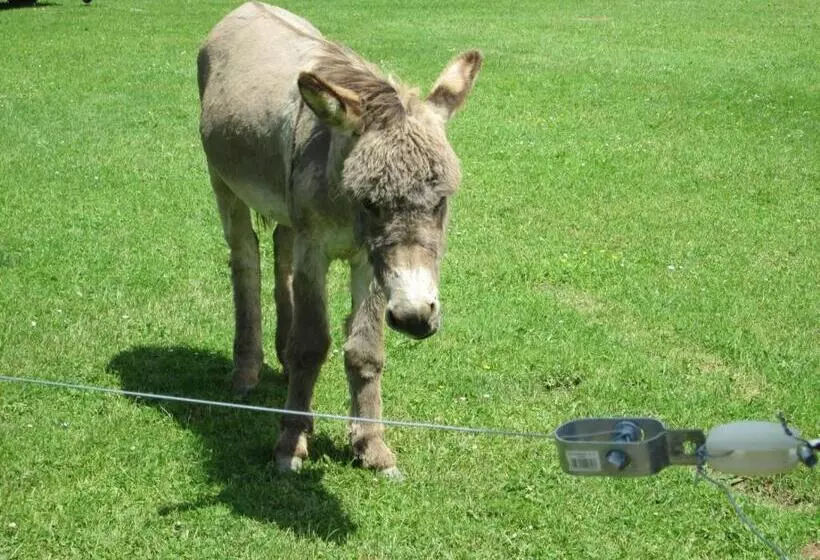 Florennes Gîte Neuf 150 M2 Devant Un Grand Lac Privé De 2 Hectares Poissonneux Au Milieu Des Bois