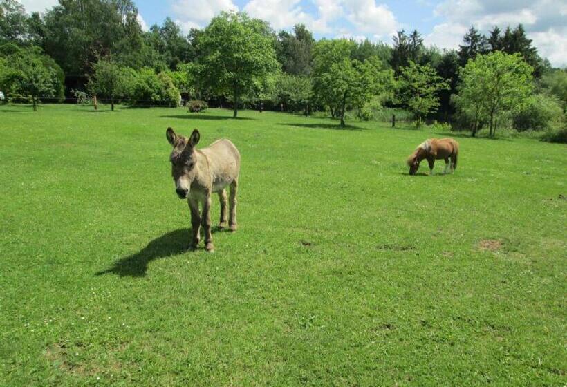 Florennes Gîte Neuf 150 M2 Devant Un Grand Lac Privé De 2 Hectares Poissonneux Au Milieu Des Bois