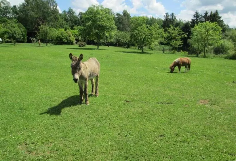 Florennes Gîte Neuf 150 M2 Devant Un Grand Lac Privé De 2 Hectares Poissonneux Au Milieu Des Bois
