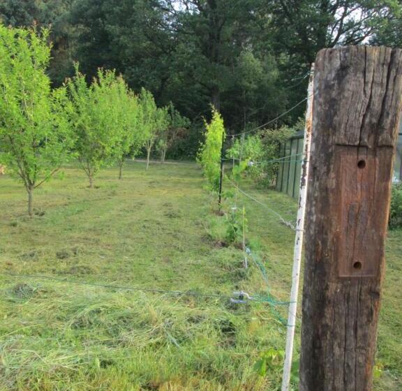 Florennes Gîte Neuf 150 M2 Devant Un Grand Lac Privé De 2 Hectares Poissonneux Au Milieu Des Bois