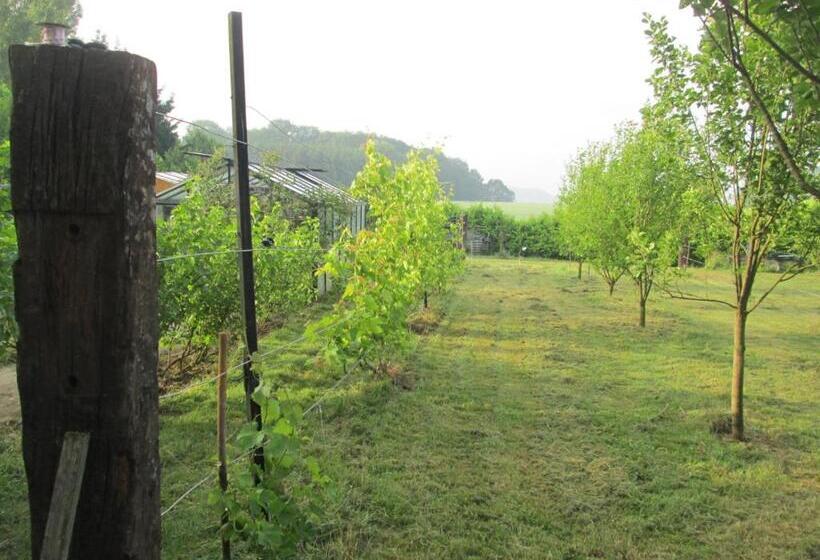 Florennes Gîte Neuf 150 M2 Devant Un Grand Lac Privé De 2 Hectares Poissonneux Au Milieu Des Bois