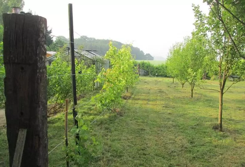 Florennes Gîte Neuf 150 M2 Devant Un Grand Lac Privé De 2 Hectares Poissonneux Au Milieu Des Bois