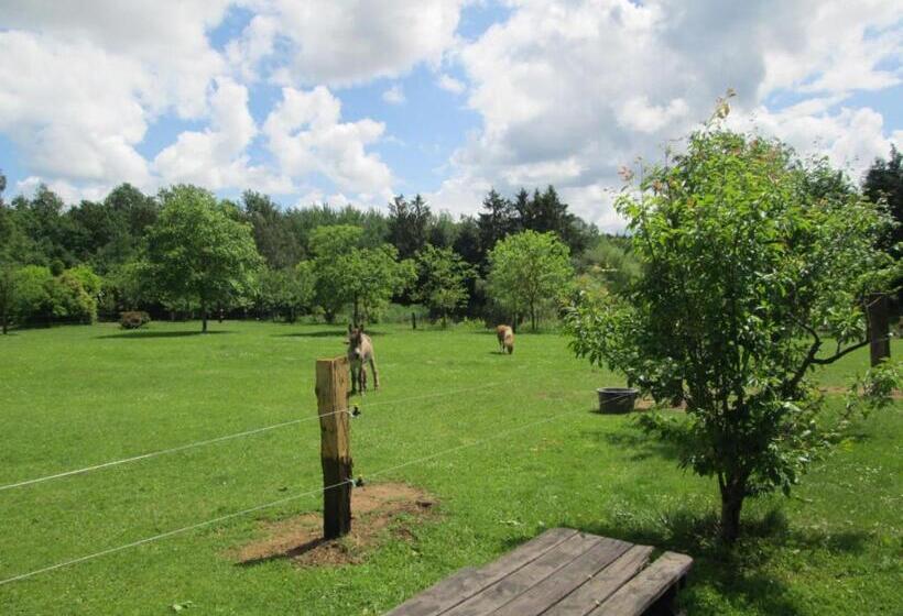 Florennes Gîte Neuf 150 M2 Devant Un Grand Lac Privé De 2 Hectares Poissonneux Au Milieu Des Bois