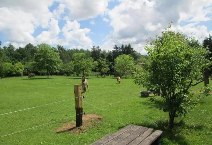 Florennes Gîte Neuf 150 M2 Devant Un Grand Lac Privé De 2 Hectares Poissonneux Au Milieu Des Bois