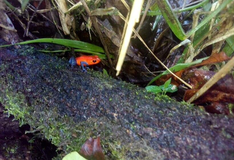 Casas De Campo Las Pavitas Cottages Red Frog