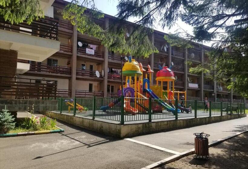 Bakuriani City Panorama Flat