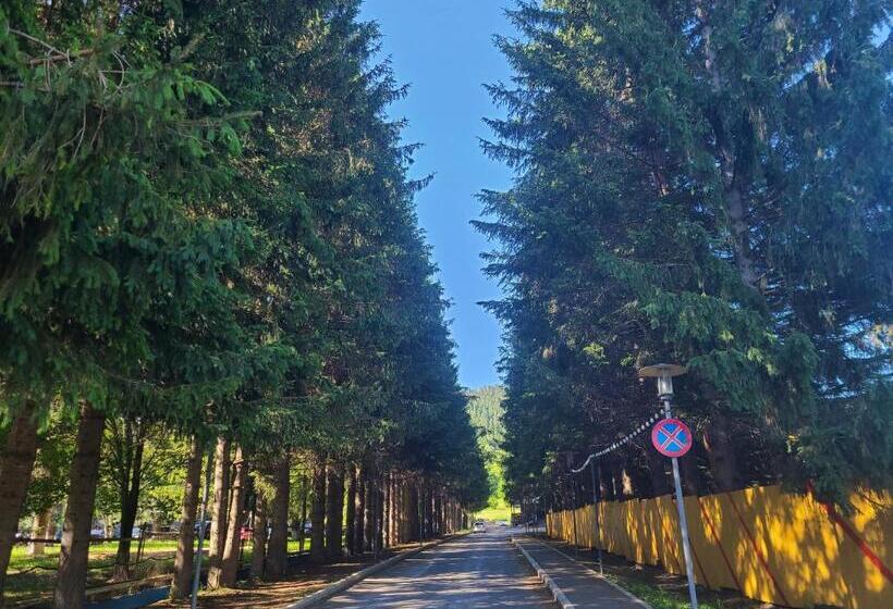 Bakuriani City Panorama Flat