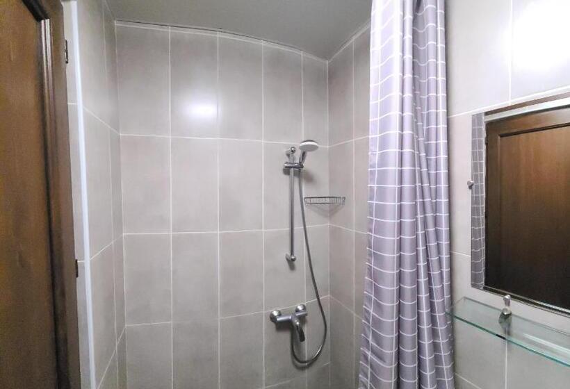 Bakuriani City Panorama Flat