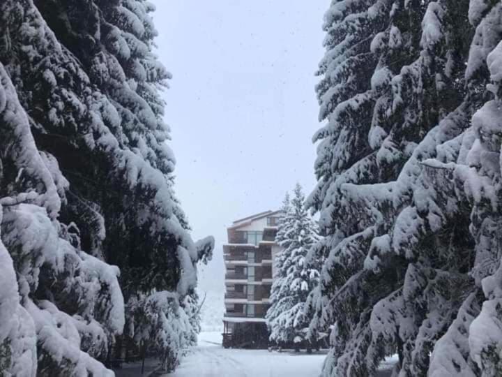 Bakuriani City Panorama Flat