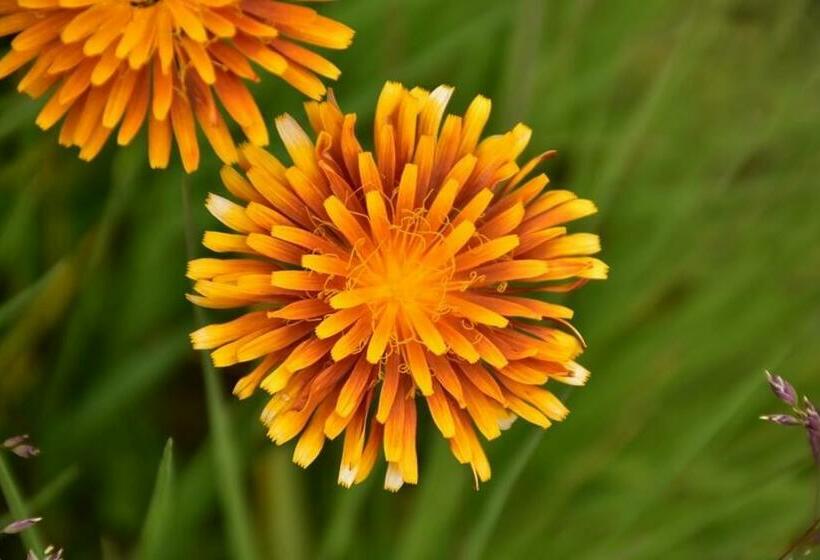 Casa Vacanze Valentina Dolomiti