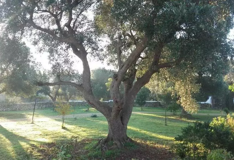 Sol Invictus Est