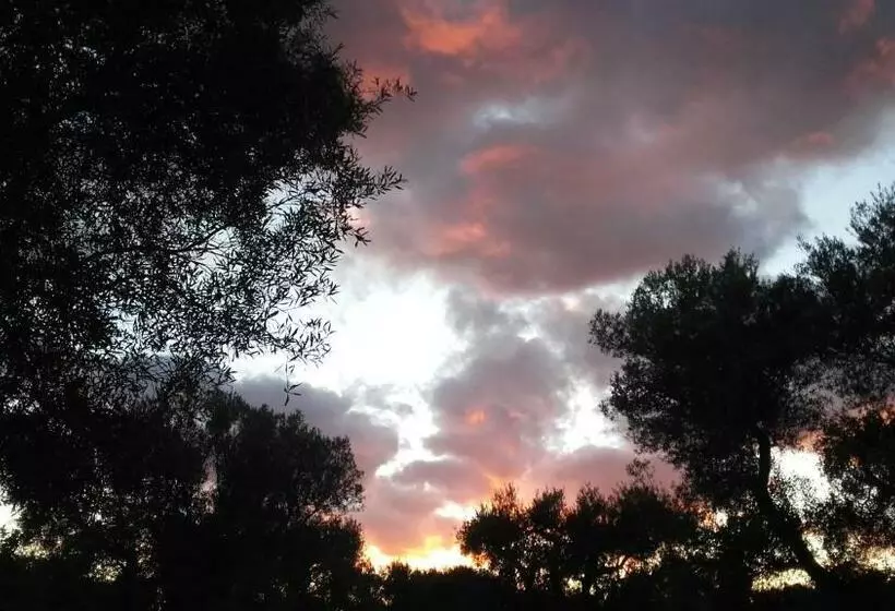 Sol Invictus Est