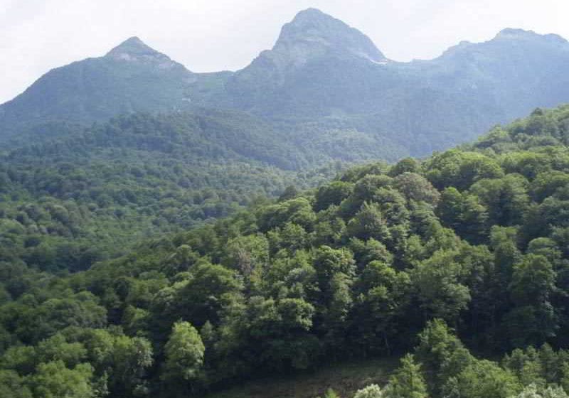 בית מלון כפרי Guest House Chalet