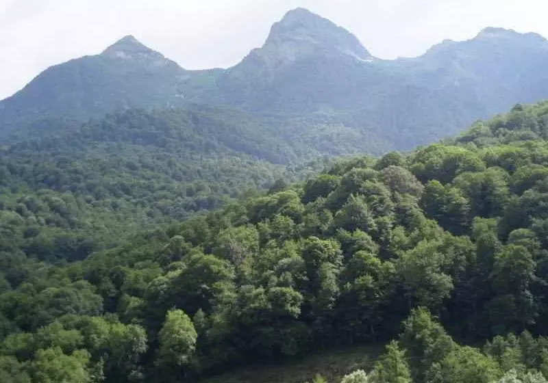 فندق Guest House Chalet