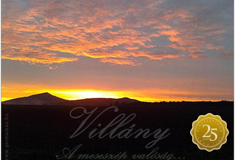 호텔 Diófa Panzió