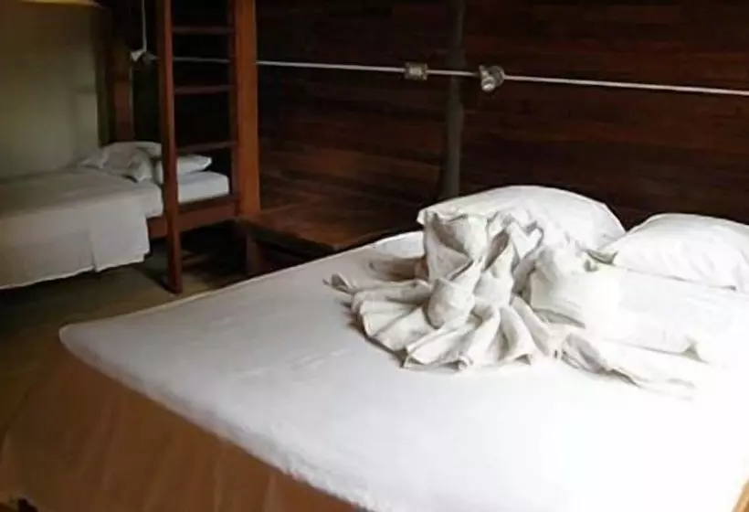 Hotel Flying Crocodile