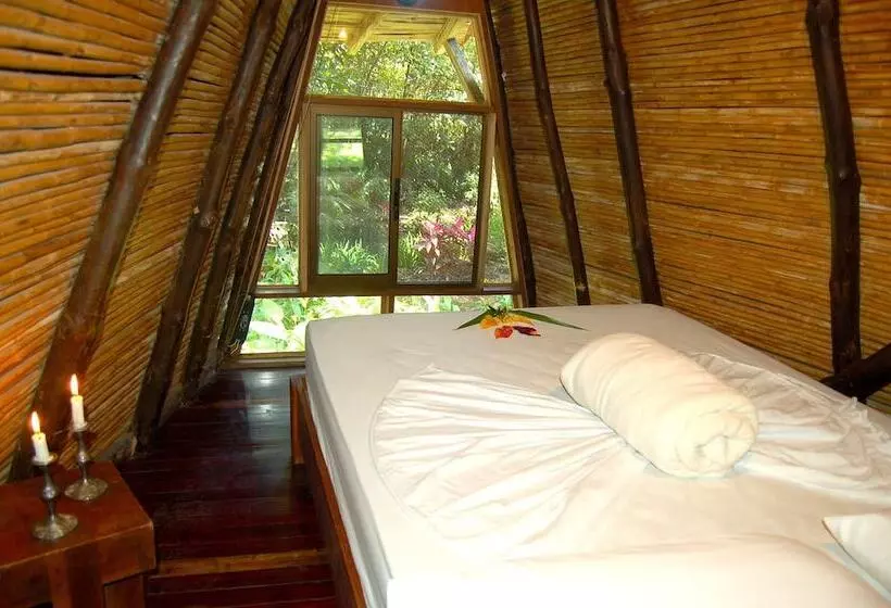 Hotel Flying Crocodile