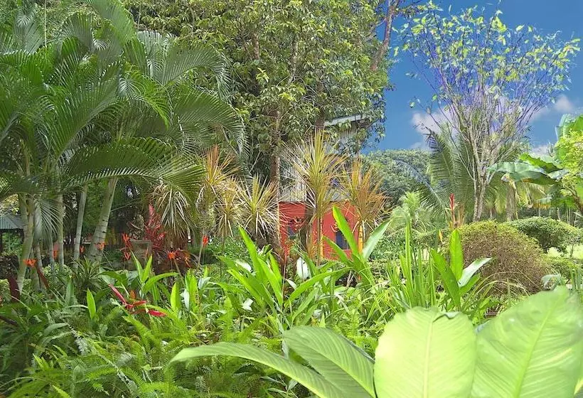 Hotel Flying Crocodile