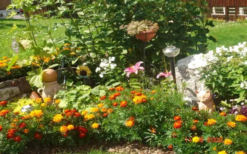 酒店 Frühstückspension Rüf