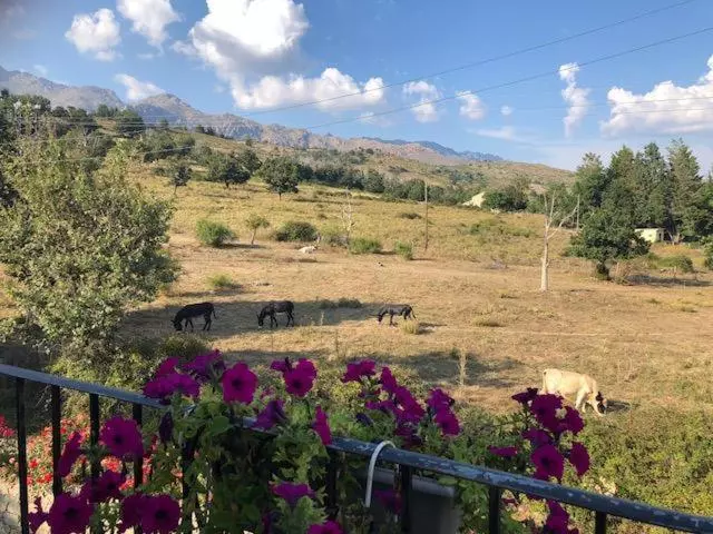 Отель Acquaviva