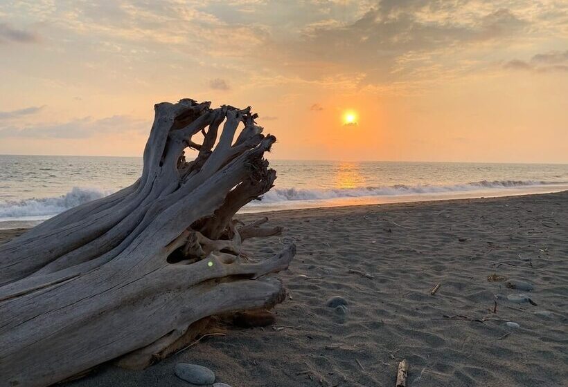 בית מלון כפרי Nexpa Surf Cabañas Mar De Noche