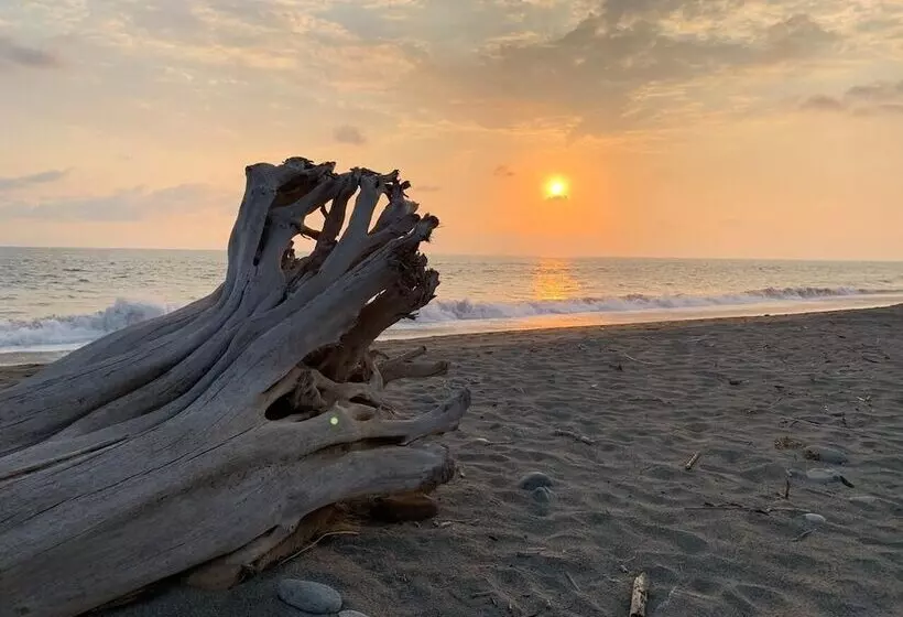 Hotelli Nexpa Surf Cabañas Mar De Noche