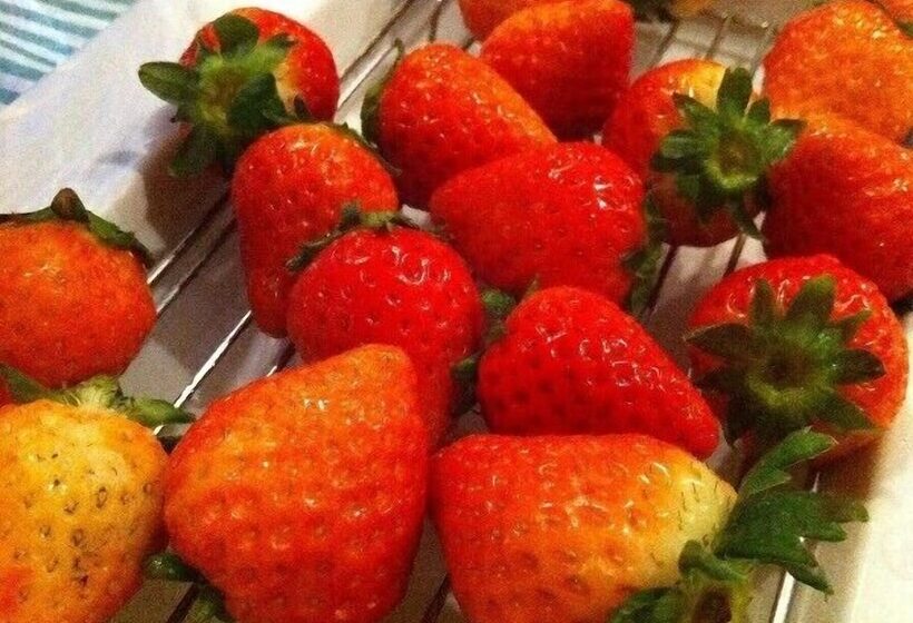 酒店 Van Cortlandt